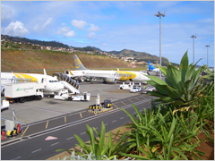 Herzlich Willkommen auf Madeira - Hier finden Sie Flugsuchmaschinen für den Charter und Linienflugbereich!